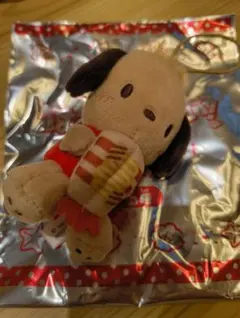 【テヒョン様　専用】スシロー　コラボ　はぴだんぶい　日焼けぽちゃっこ【サンリオ】