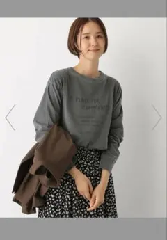 LEPSIM レプシィム　アソートロンT グレー