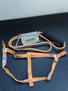 Item thumbnail for item 7f2f0a09-cef6-47b4-8c93-594d2bc50b17