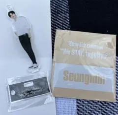 Stray Kids Seungmin スキズ スンミン ミニ アクスタ