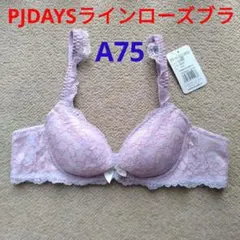 新品未使用◆A75◆ピーチジョン ＰＪ ＤＡＹＳラインローズブラ ライラック