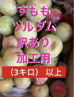 すもも★ソルダム※訳あり ★3000グラム （3キロ）以上のサムネイル