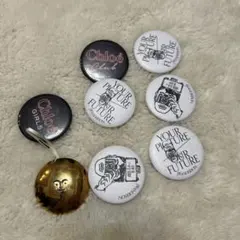 Chloé ジェイダブルアンダーソン　アクラスピンバッジ 8個