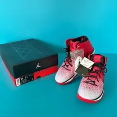 NIKEナイキ　エアジョーダンAirJordan XXXI 11サイズ　29cm