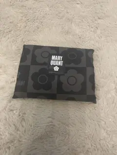 Item thumbnail for item 80cfd970-2359-43ab-a05a-6e1bc6b9c419