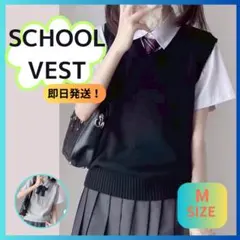 スクールベスト紺色