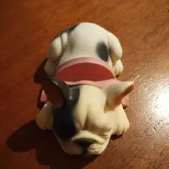 フレンチブルドッグ