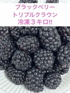 2026年最新】ブラックベリー トリプルクラウンの人気アイテム - メルカリ