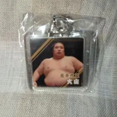 Item thumbnail for item 7b238f8f-d493-40b2-8d78-7e40c9cba1f7