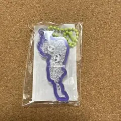 s*5様 琵琶湖キーホルダー　草津　パンダ　紫色