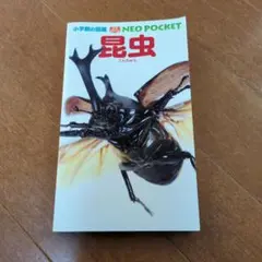 小学館の図鑑NEO POCKET 昆虫のサムネイル