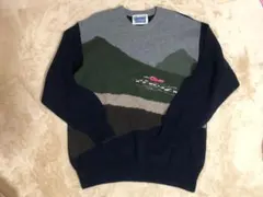 WOOLLY JUMPERS セーター M ニット メリノウール100% - メルカリ