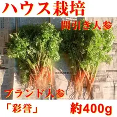 Item thumbnail for item 26ecc30c-976a-4c5d-ac17-fc36dfb9721d