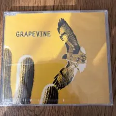 2026年最新】grapevine lpの人気アイテム - メルカリ