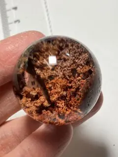 2026年最新】ガーデンスフィアの人気アイテム - メルカリ