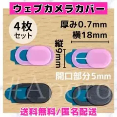 Item thumbnail for item 13aa408a-5928-40d0-9d8b-198f826f8bab