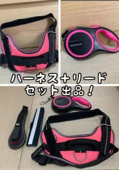 Item thumbnail for item e7d0bdc2-e4b8-47dc-84a8-f6babfee6134