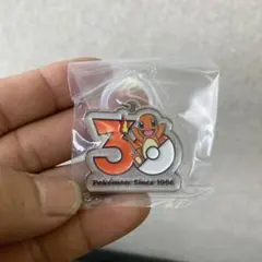 新品 ポケモン 30周年 メタルチャームマスコット リザードン