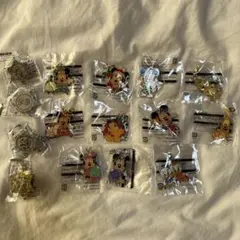 ディズニージャングルカーニバル　ピンバッジ　チャーム　セット