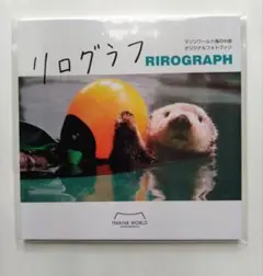 Item thumbnail for item 1487c484-6ef9-4d05-b62d-3704ad1196ee