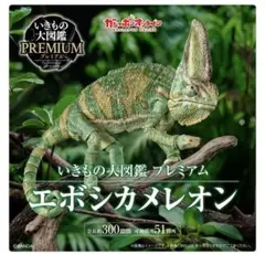 いきもの大図鑑プレミアム エボシカメレオン - メルカリ