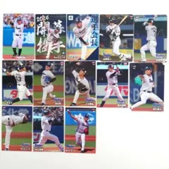 プロ野球チップスカード 2024 東京ヤクルトスワローズ 20枚セット
