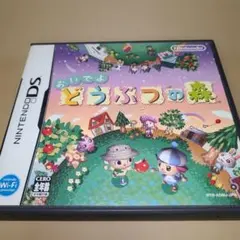 ニンテンドーDSソフト　おいでよ どうぶつの森