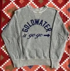 WAREHOUSE スウェット GOLDWATER 40