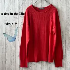 アデイインザライフ/ユナイテッドアローズ/長袖ニット/朱色/リブ編み/F