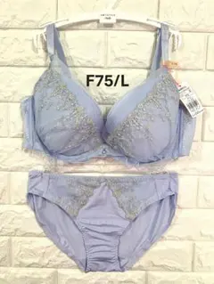 DailyAMOSTYLE528　デコルテビューティー上下セット　F75/L