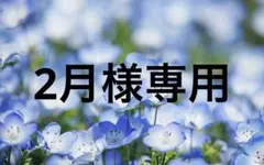 2月様専用