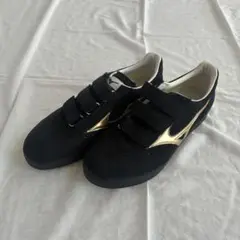 あ*ご様 【新品未使用】 Mizuno ミズノ トレーニングシューズ