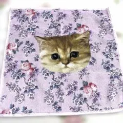 PAUL&JOE猫のハンカチ