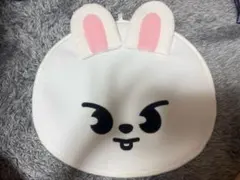 リービット　Leebit うちわカバー　SKZOO