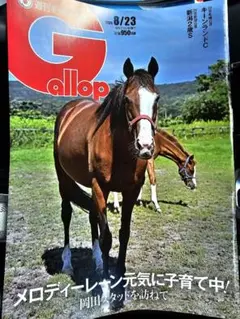 最新号 ギャロップ GALLOP Gallop 週刊 応募券なし