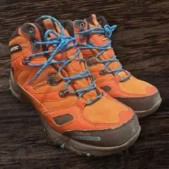 Item thumbnail for item 5be38c41-a020-4a56-bfb2-8def6f87d88e