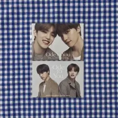 セブチ エスクプス ディノ ペア トレカ セット