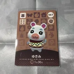 あつ森　amiibo ゆきみ