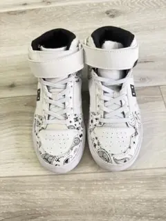 Item thumbnail for item d6398652-d85a-47b9-899e-9b0b9c6b25d1