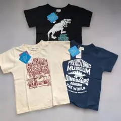 【新品未使用】★シ・シュ・ノン★恐竜半袖 Tシャツ 3枚セットのサムネイル