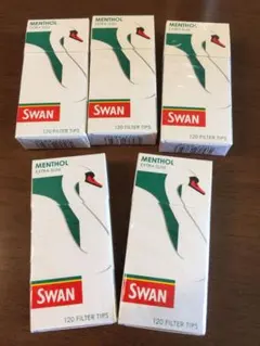 Item thumbnail for item 9c18131a-ff29-4af5-9aa3-bf2507f417ee