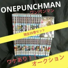 Item thumbnail for item add5e40e-d5f2-4109-9a20-e23316b6e455