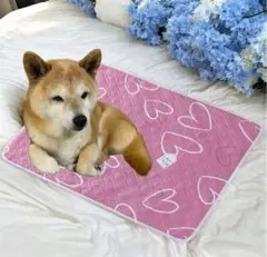 Item thumbnail for item 1d4b5aad-0b7e-4c58-ad68-f3ce0a18088e