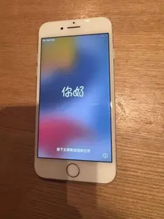 Apple iPhone 7 シルバー 本体11