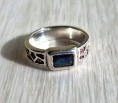 Item thumbnail for item e4b48acd-cc41-4cb5-bade-4647df16238c