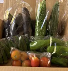 産直 新鮮野菜セット 旬の詰め合わせ チルドのサムネイル