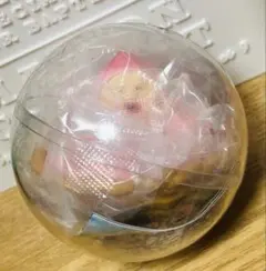 新品未開封 こびとづかん カプリウムコレクション カクレモモジリ
