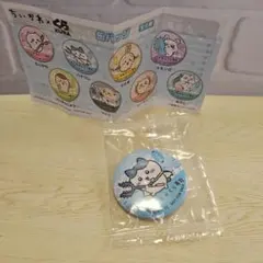 ちいかわ　くら寿司 缶バッチ ハチワレ