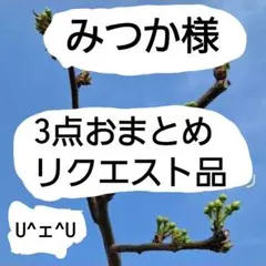みつか様 リクエスト 3点 まとめ商品