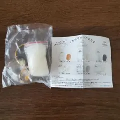 Item thumbnail for item 2462d523-ce3f-42e4-b8b0-70f8fbb7654f